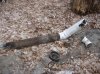img0143ni3.jpg