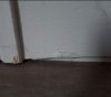rps20180817_184449_719.jpg
