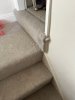 IMG_5535.jpeg